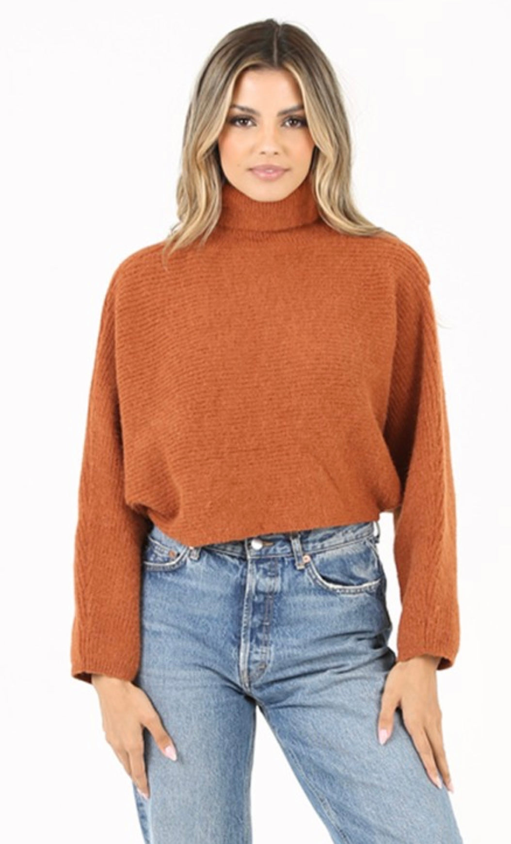 Turtleneck Sweater